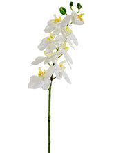 Load image into Gallery viewer, White