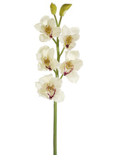 Load image into Gallery viewer, Cream Burgundy