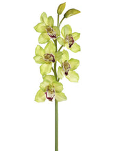 Load image into Gallery viewer, Green Burgundy