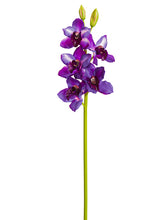 Load image into Gallery viewer, Purple