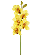 Load image into Gallery viewer, Yellow Burgundy