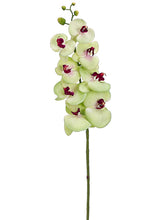 Load image into Gallery viewer, Lime Fuchsia
