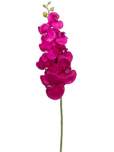 Load image into Gallery viewer, Orchid