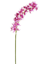Load image into Gallery viewer, Lilac Violet