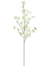 Load image into Gallery viewer, White