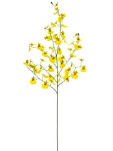 Load image into Gallery viewer, Yellow