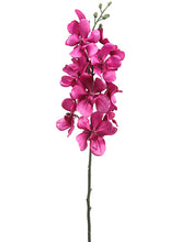 Load image into Gallery viewer, Orchid