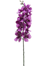 Load image into Gallery viewer, Purple