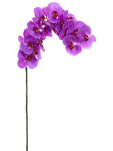 Load image into Gallery viewer, Orchid