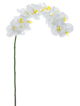 Load image into Gallery viewer, White