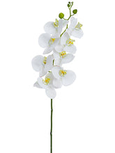 Load image into Gallery viewer, White