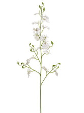 Load image into Gallery viewer, White