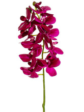 Load image into Gallery viewer, Purple