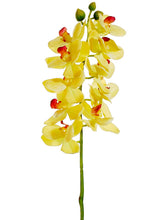 Load image into Gallery viewer, Yellow