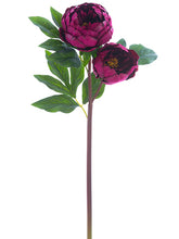 Load image into Gallery viewer, Burgundy