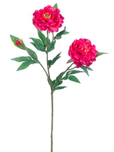 Load image into Gallery viewer, Fuchsia