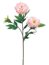 Load image into Gallery viewer, Pink Soft