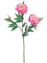 Load image into Gallery viewer, Two Tone Pink