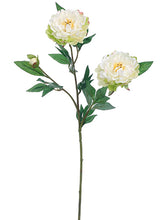 Load image into Gallery viewer, White Green