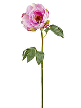 Load image into Gallery viewer, Amethyst