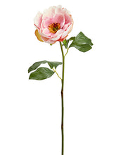 Load image into Gallery viewer, Pink