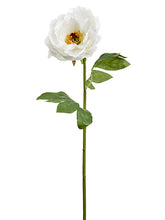 Load image into Gallery viewer, White