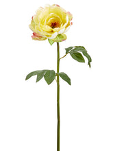 Load image into Gallery viewer, Yellow