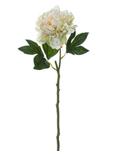 Load image into Gallery viewer, Beige Green