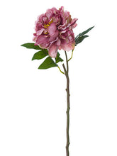 Load image into Gallery viewer, Mauve