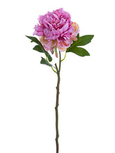 Load image into Gallery viewer, Pink