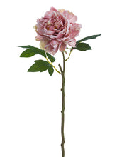 Load image into Gallery viewer, Dusty Pink