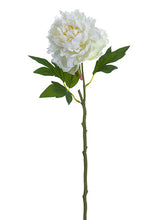 Load image into Gallery viewer, White