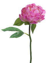 Load image into Gallery viewer, Cerise