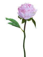 Load image into Gallery viewer, Pink