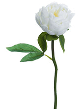 Load image into Gallery viewer, White