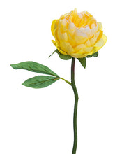 Load image into Gallery viewer, Yellow