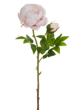Load image into Gallery viewer, Mauve