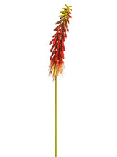 Load image into Gallery viewer, Red Orange