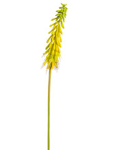 Load image into Gallery viewer, Yellow Green