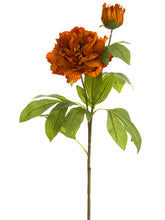 Load image into Gallery viewer, Cinnamon