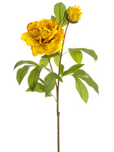 Load image into Gallery viewer, Mustard