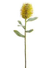 Load image into Gallery viewer, Yellow