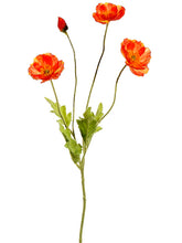 Load image into Gallery viewer, Flame
