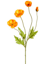 Load image into Gallery viewer, Orange