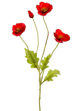 Load image into Gallery viewer, Red