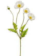 Load image into Gallery viewer, White