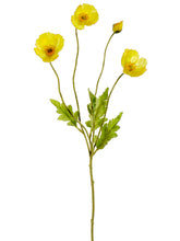 Load image into Gallery viewer, Yellow