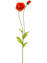 Load image into Gallery viewer, Flame