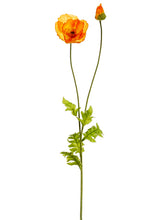 Load image into Gallery viewer, Orange