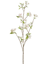 Load image into Gallery viewer, Cream Pink